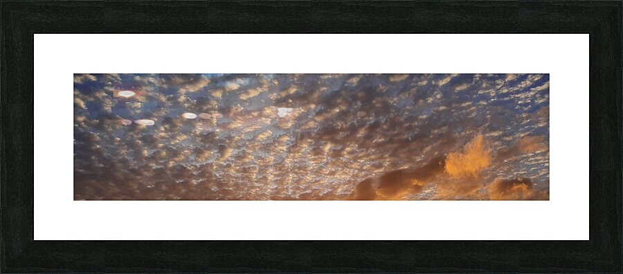 cottony Picture Frame print