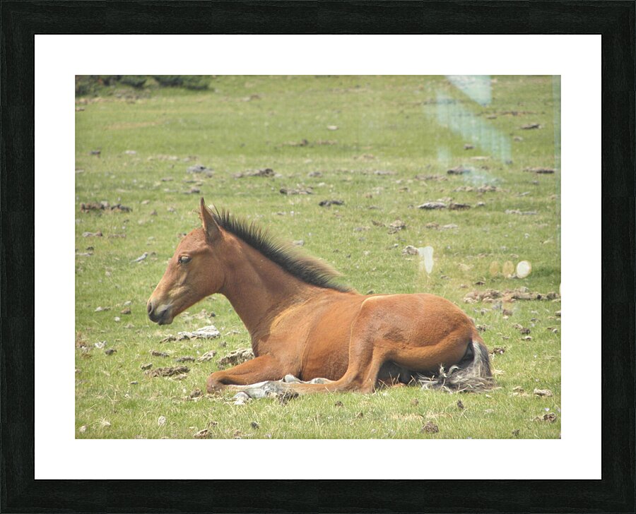 take the time to live Picture Frame print