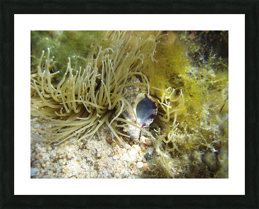 you are mine Picture Frame print