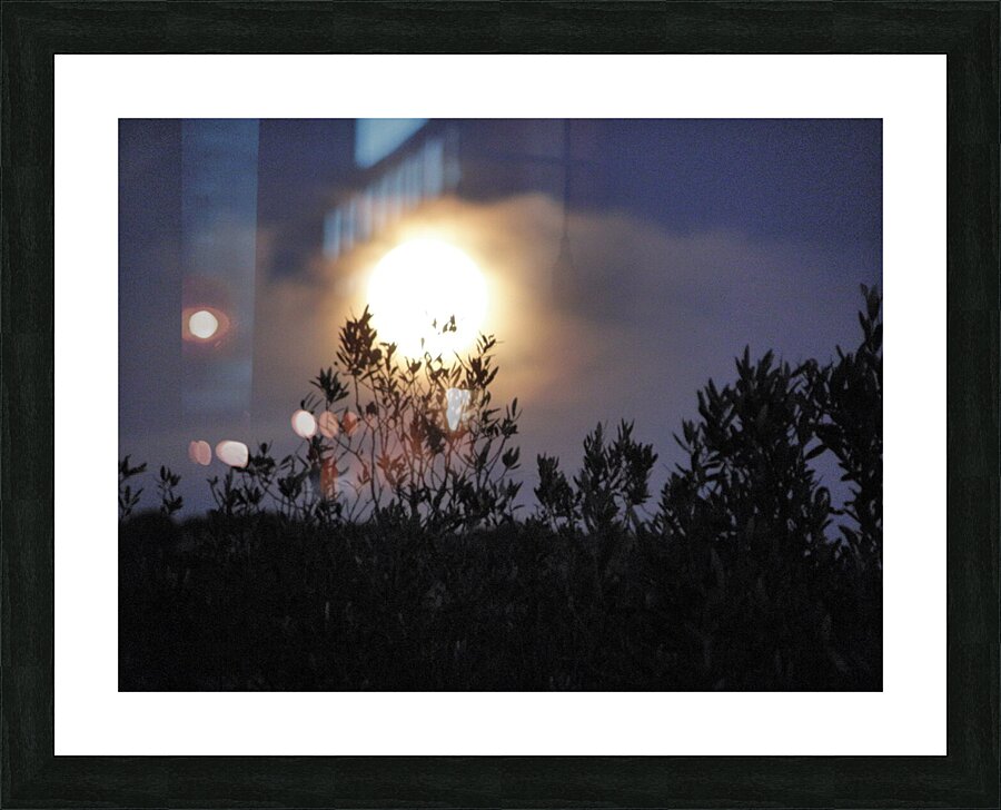 veiled Picture Frame print
