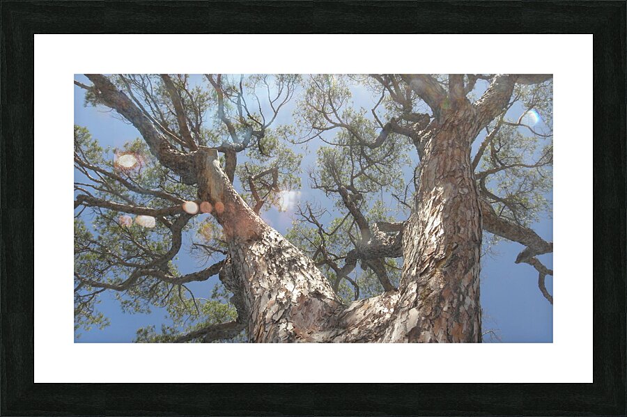 become one Picture Frame print