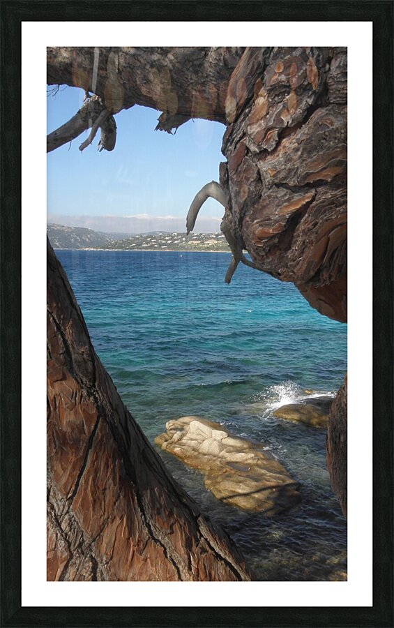 between the branches Picture Frame print