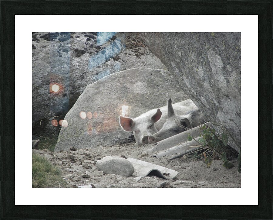 as a couple Picture Frame print