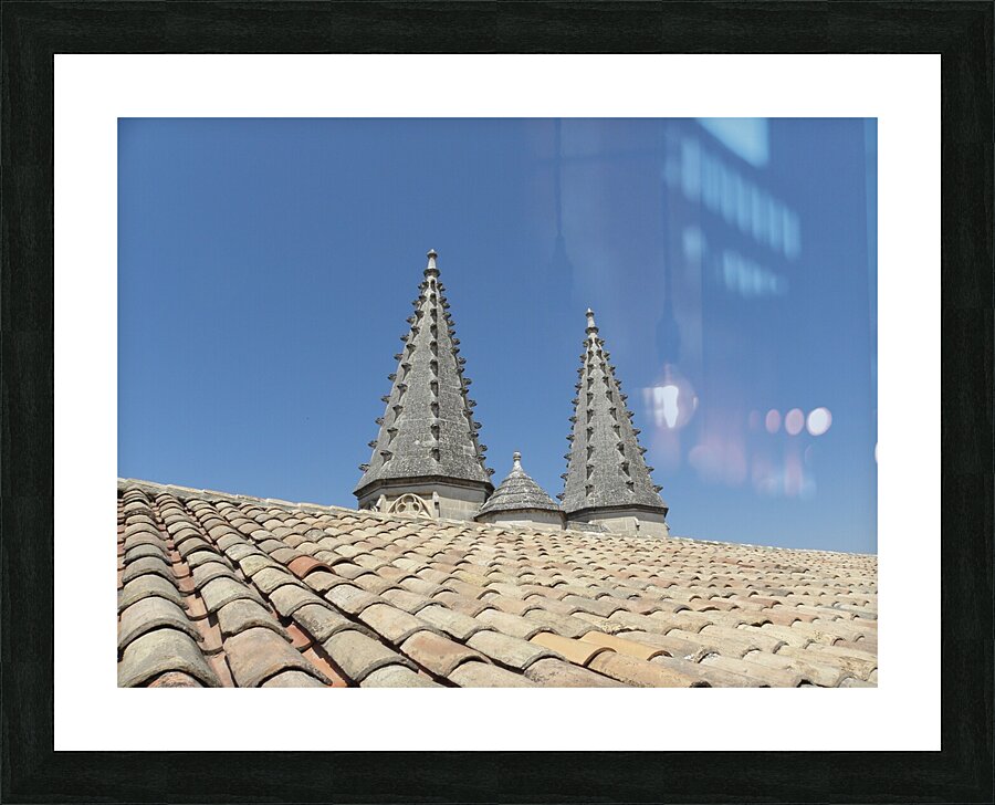 covered with thorns Picture Frame print