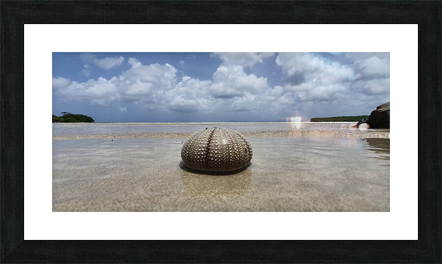 alone Picture Frame print