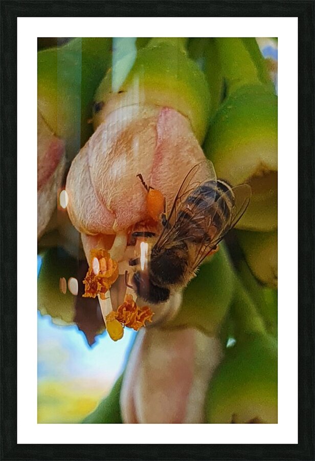 I pollinate Picture Frame print