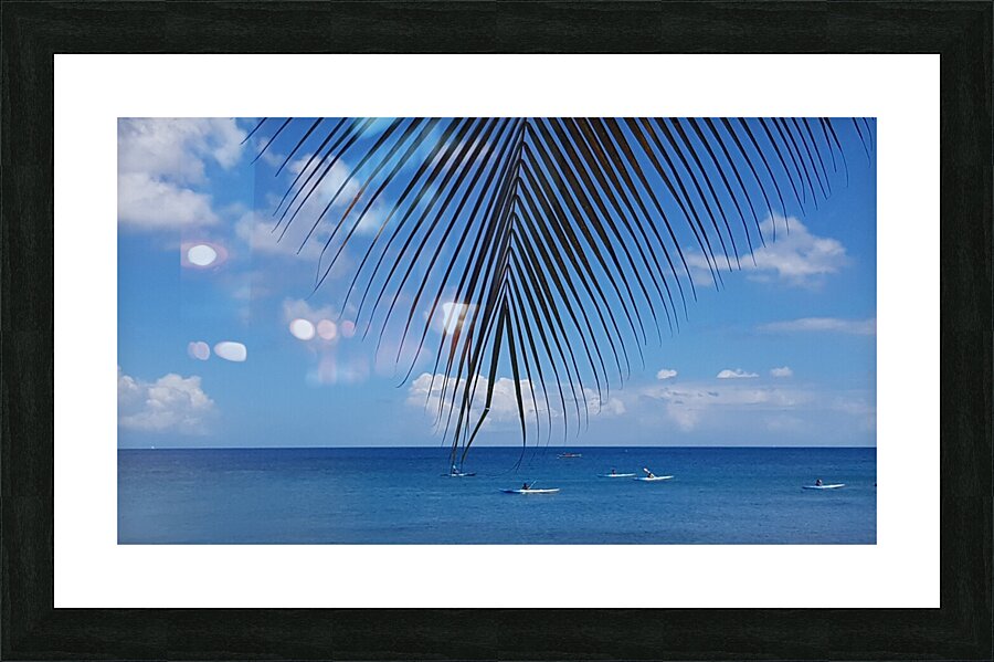 float in the wind Picture Frame print