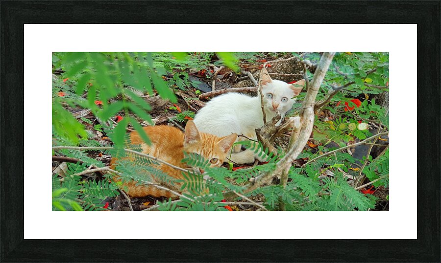 friends Picture Frame print