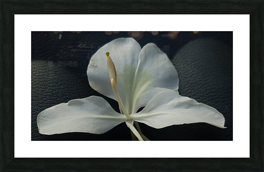 laid there Picture Frame print