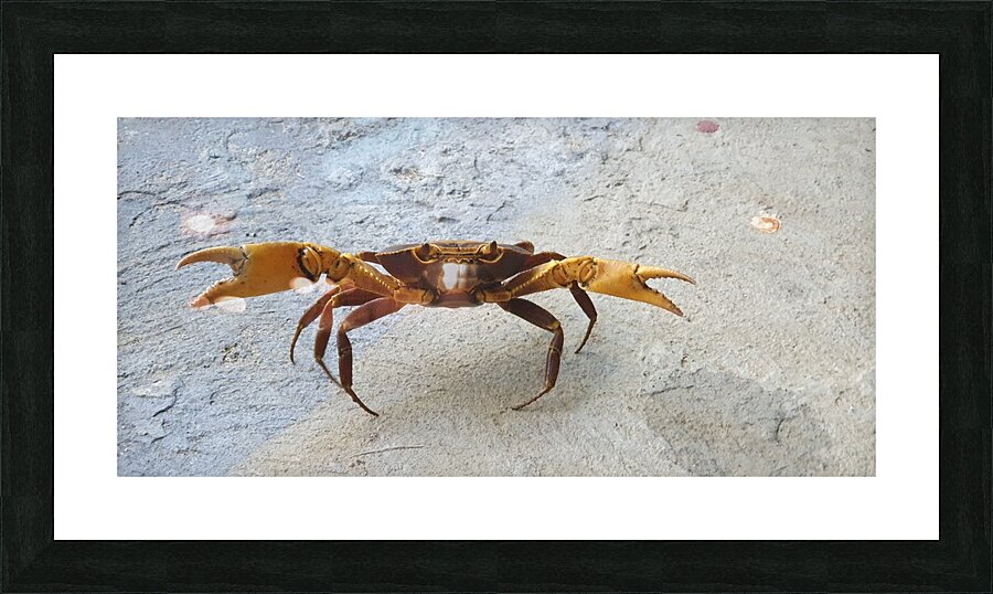 do you want to dance Picture Frame print