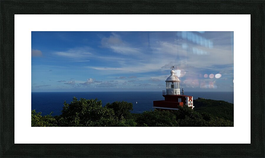 ensure security Picture Frame print