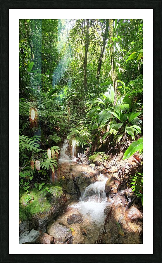 beautiful stream Picture Frame print