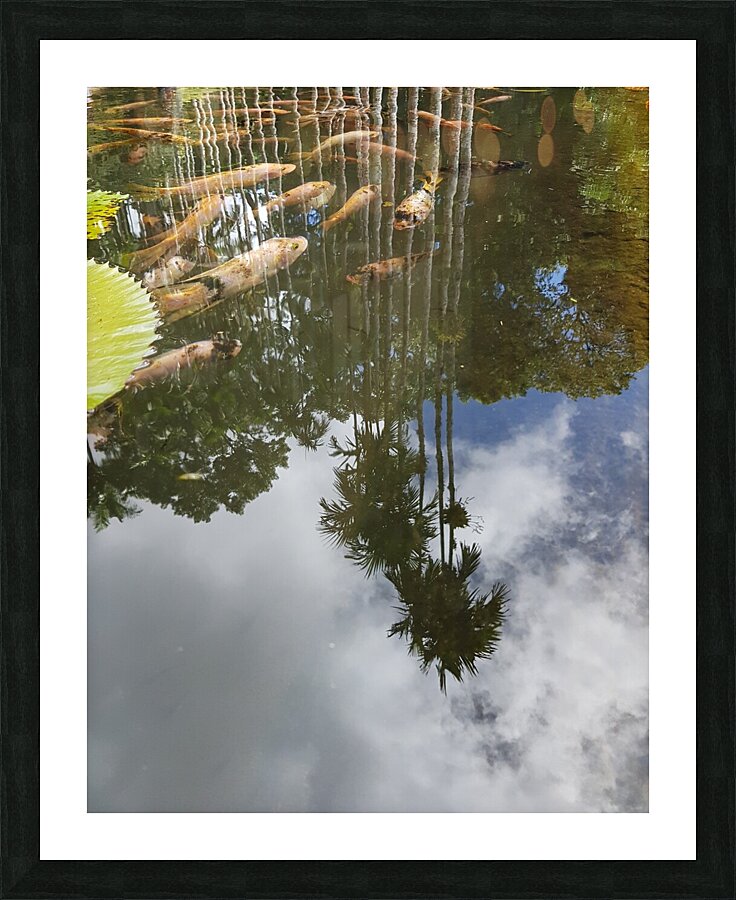 sheltered by trees Picture Frame print