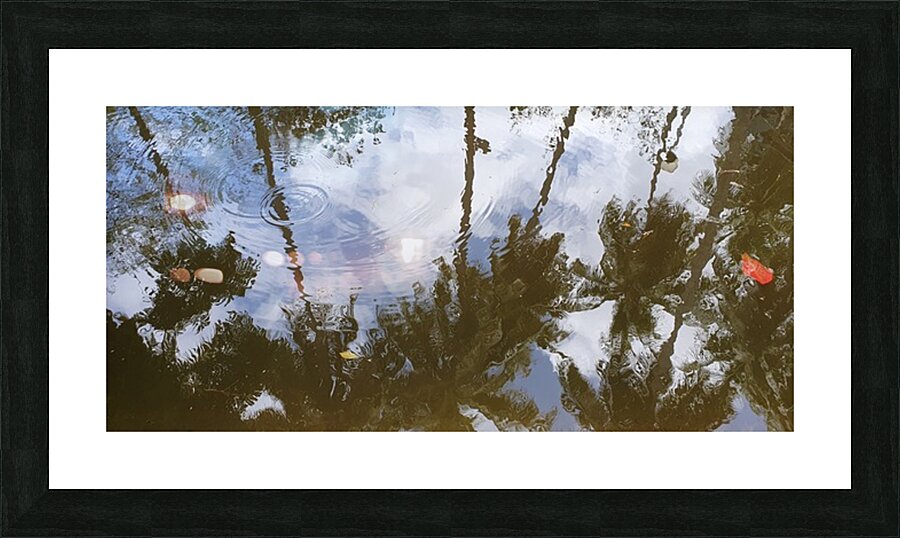 along the water Picture Frame print