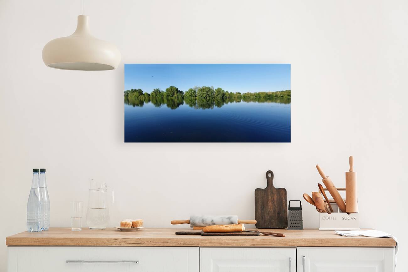 aquatic graphic Reproduction