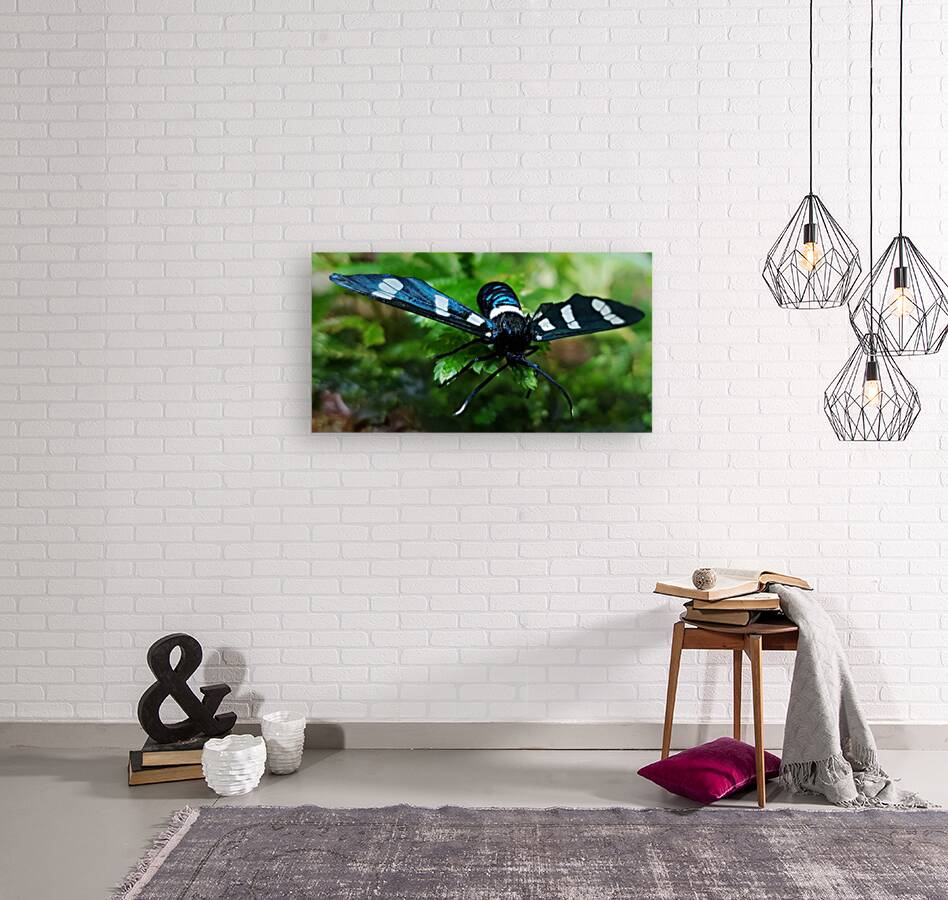 color gradient Reproduction