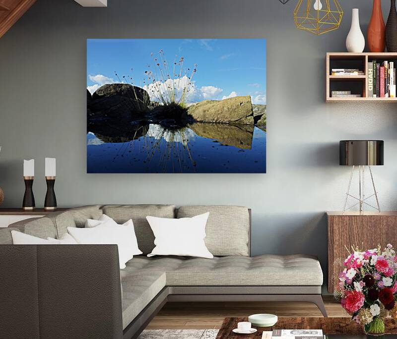 Dream puddle Reproduction