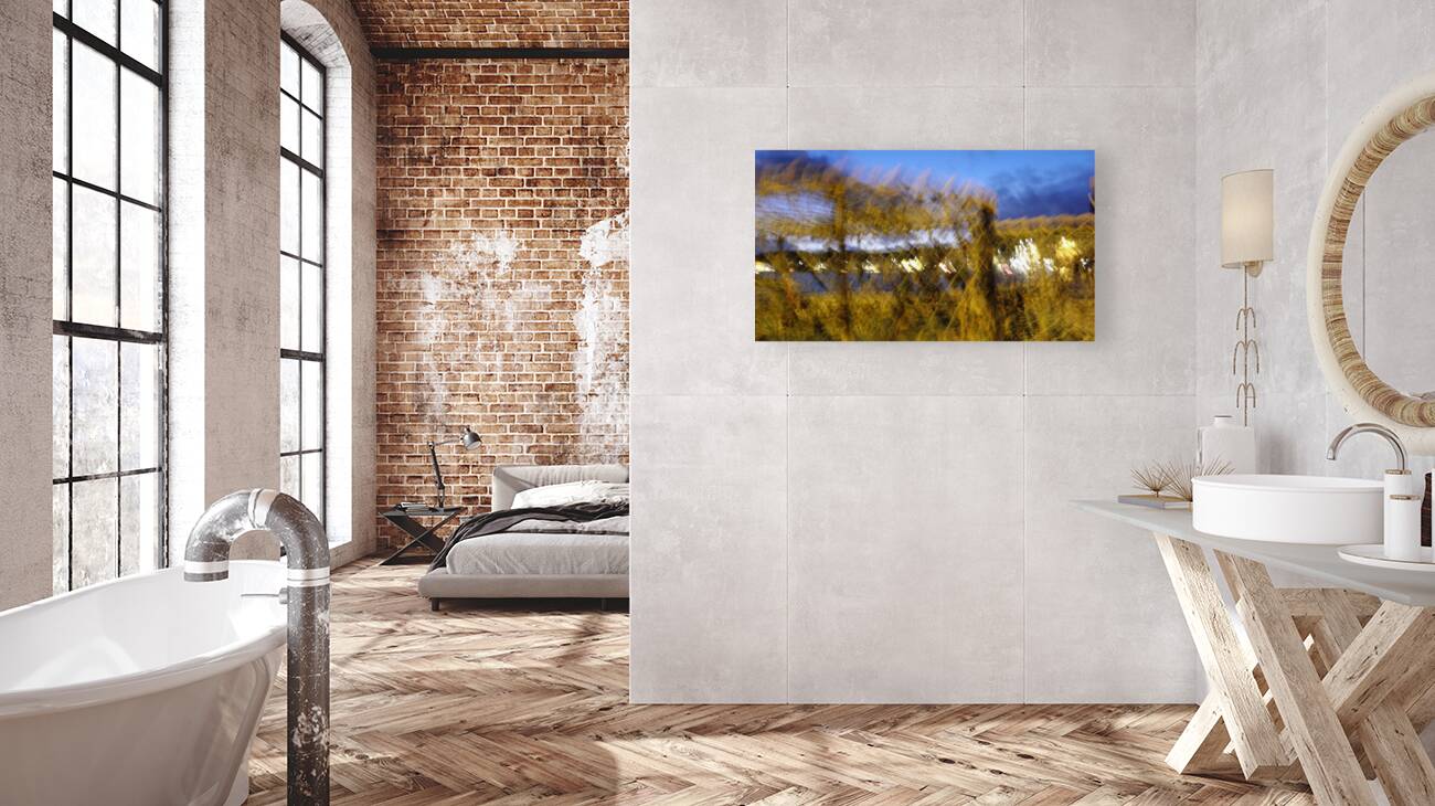 imaginary dream Reproduction