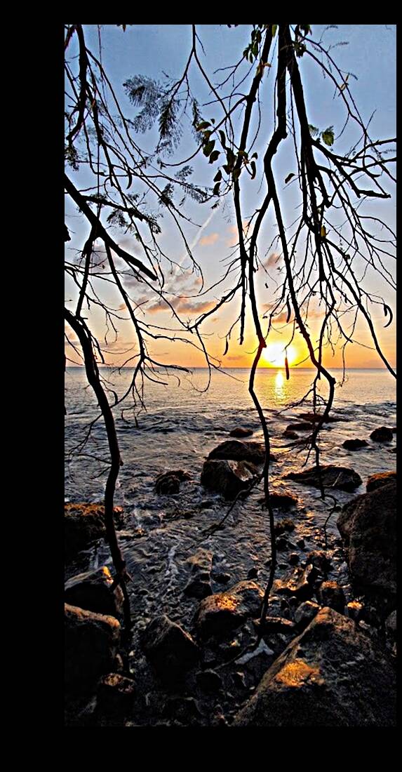 somewhere at sunset Reproduction