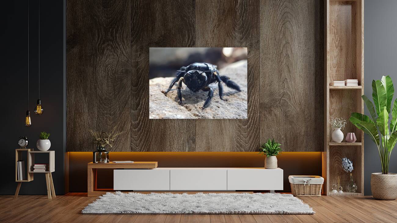 small but strong Reproduction