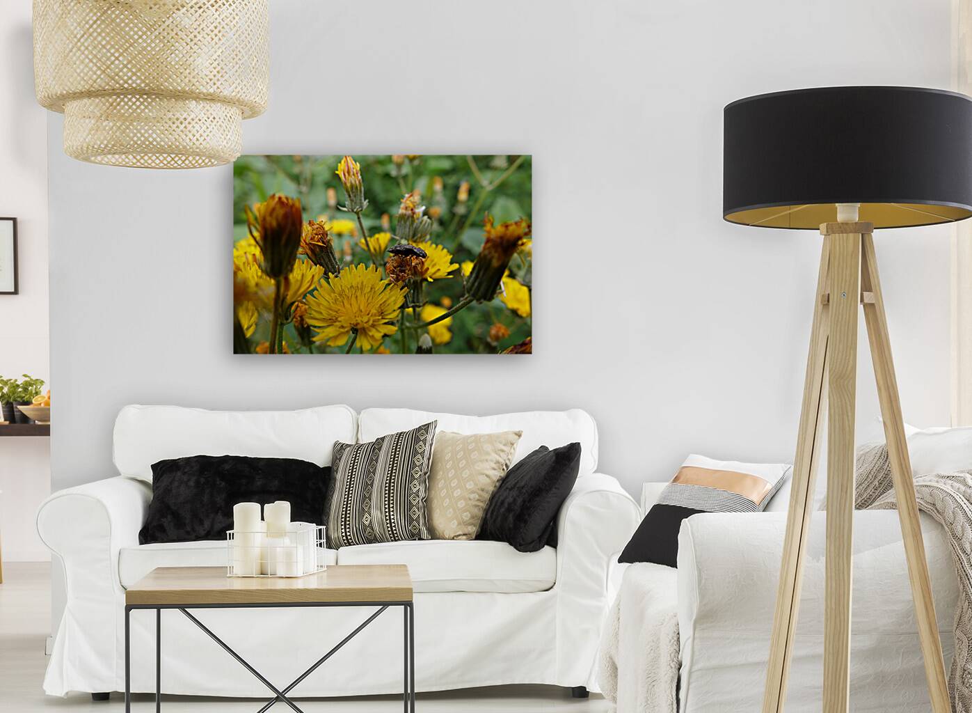 yellow dream Reproduction