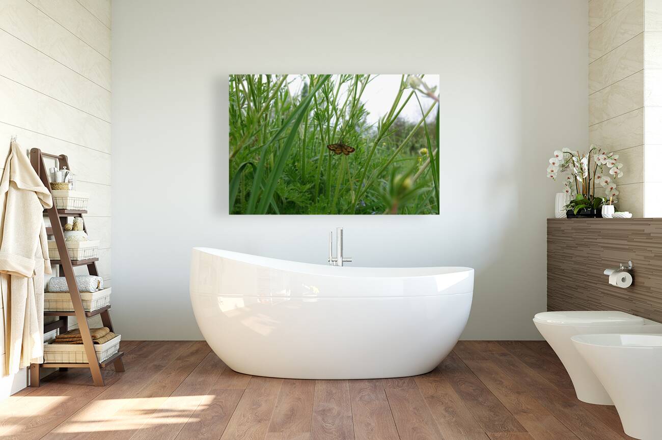 tranquility Reproduction