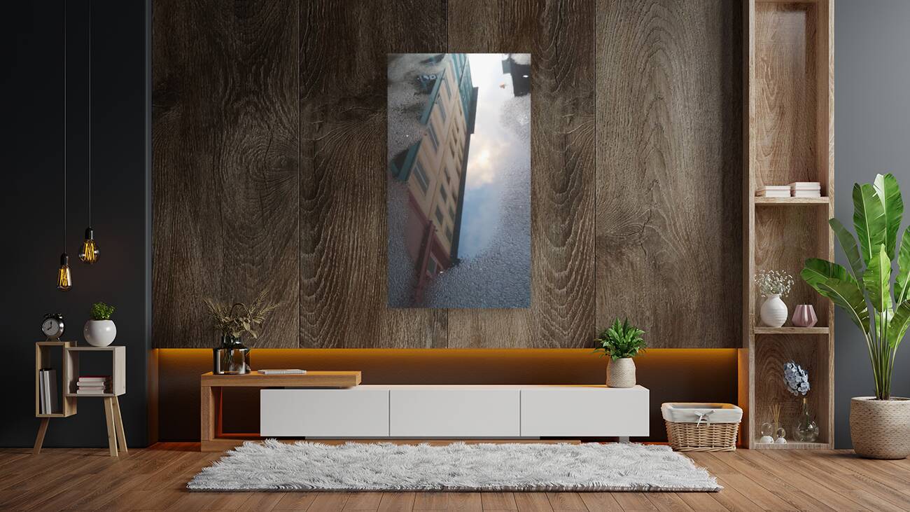 in the basement Reproduction