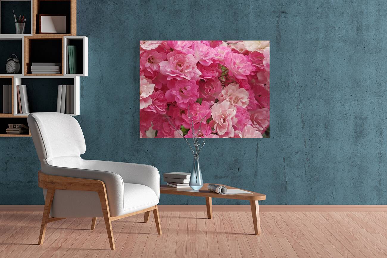 pink gradient Reproduction