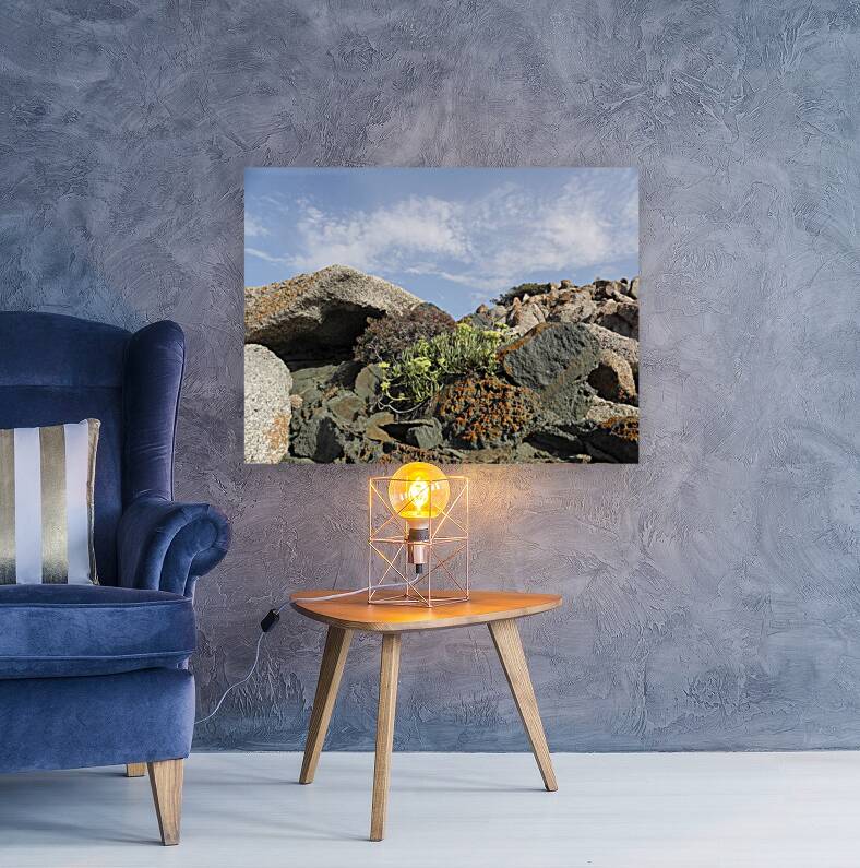 live alone Reproduction