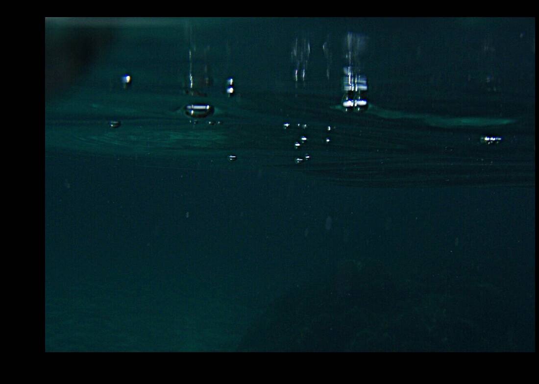 rise to the surface Reproduction