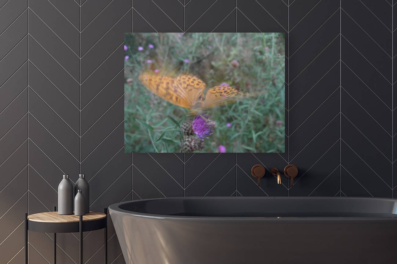 butterfly dream Reproduction