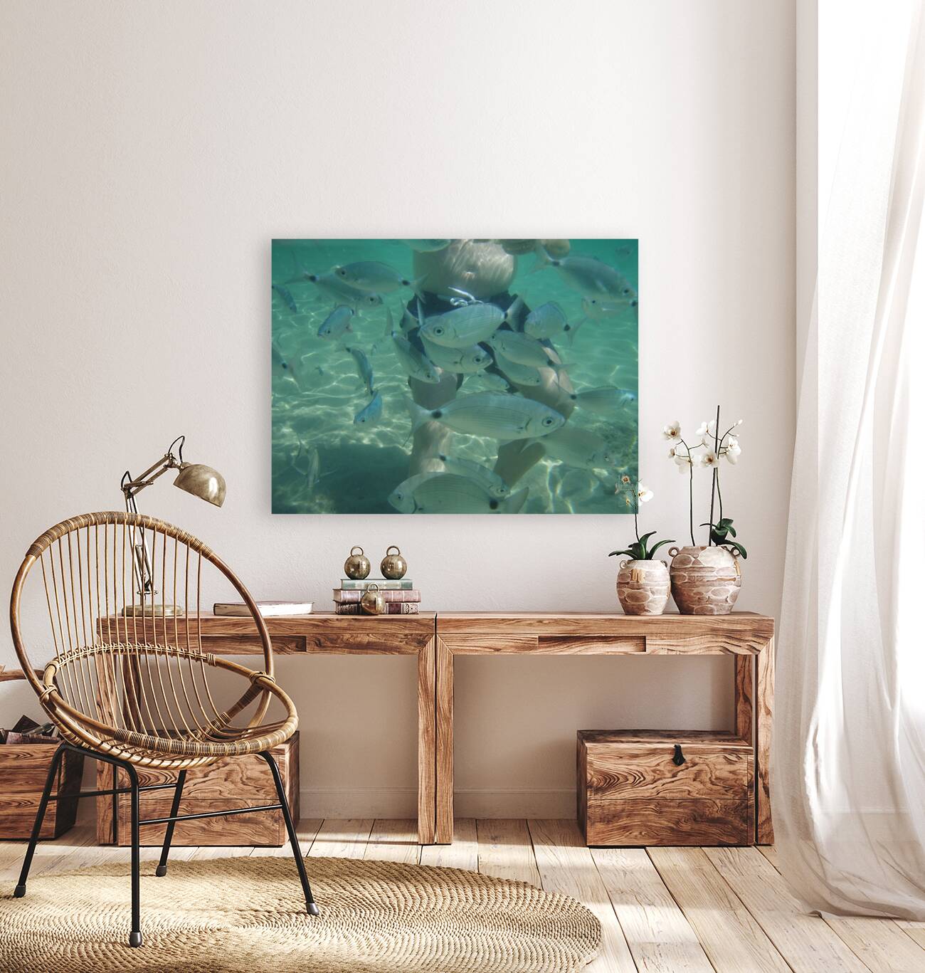 curious fish Reproduction