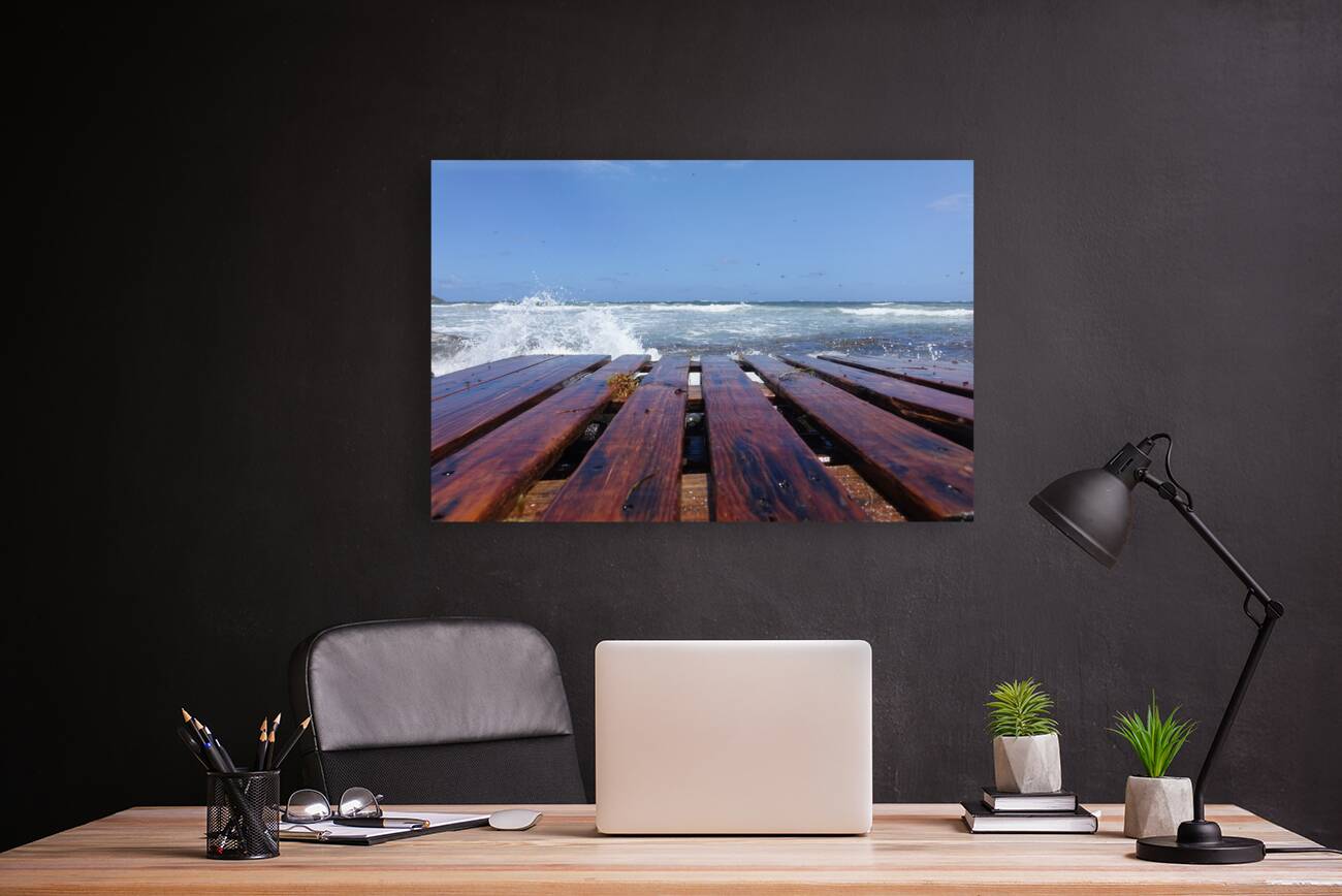 by the ocean Reproduction
