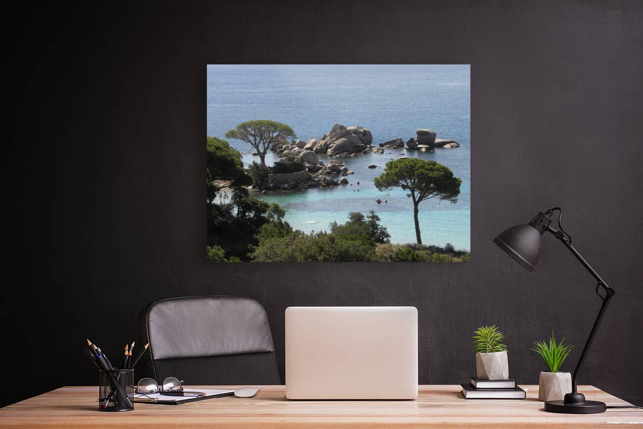 dream view Reproduction