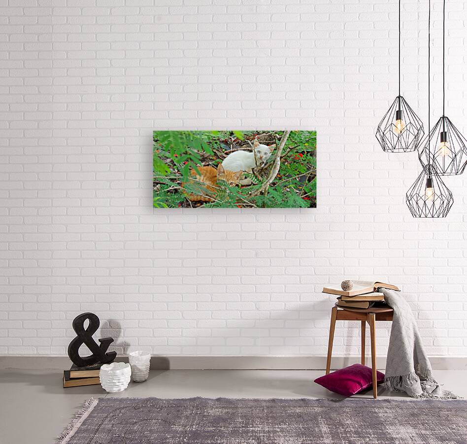 friends Reproduction