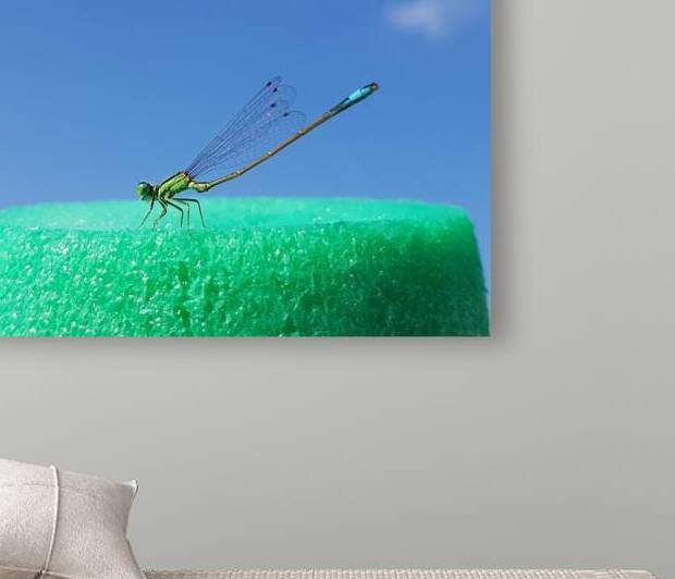 dragonfly landing strip by Carinou Art