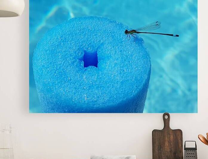 dragonfly at pool by Carinou Art