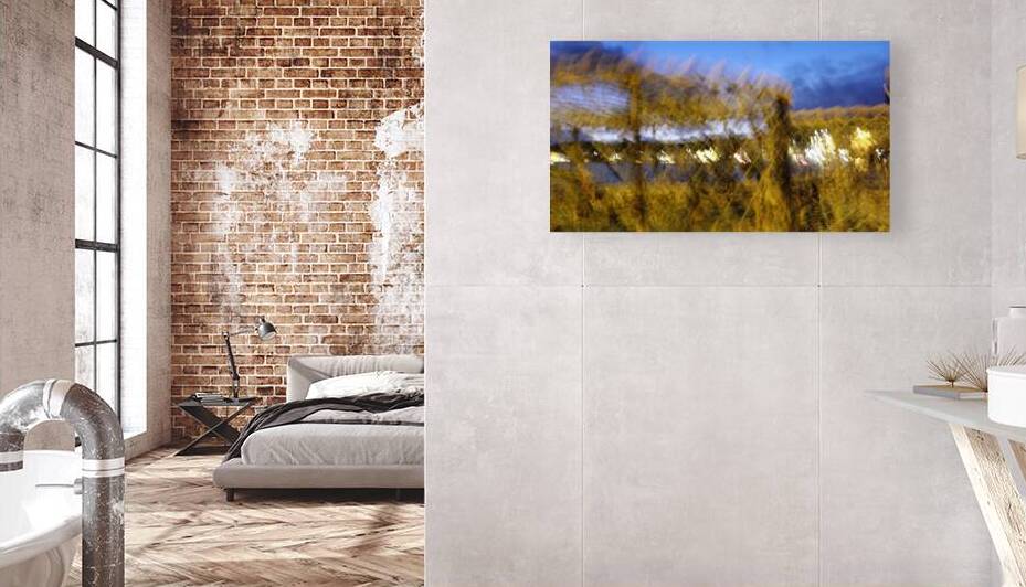 imaginary dream Reproduction