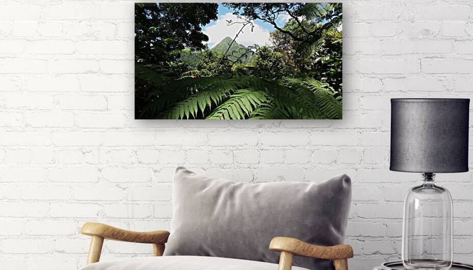 panorama peak of the carbet  Martinique FWI by Carinou Art