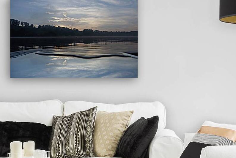 mirror Reproduction