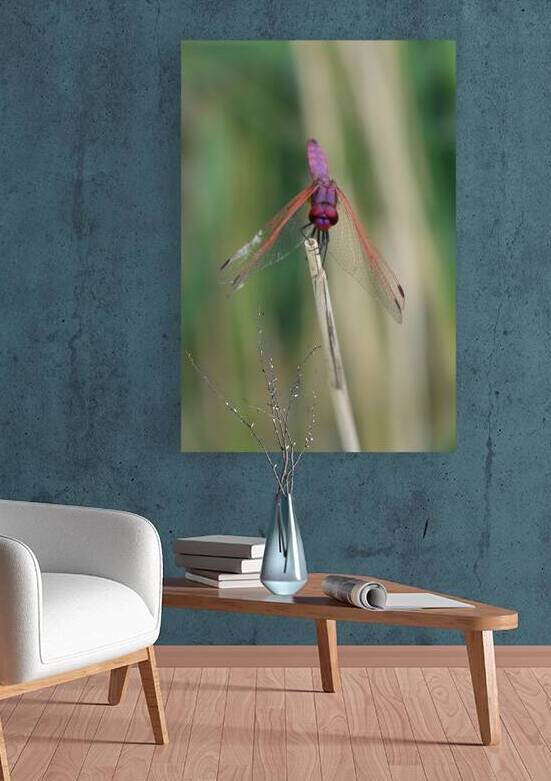 tightrope walker by Carinou Art