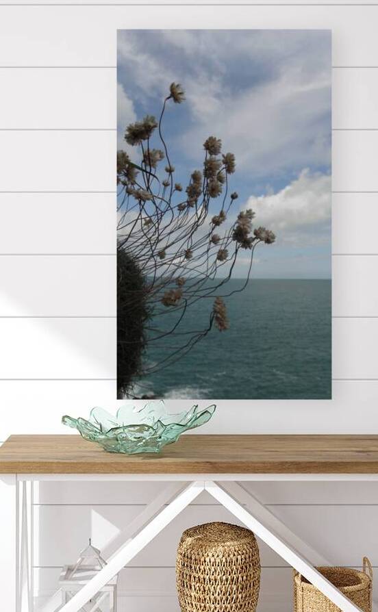 suspended Reproduction