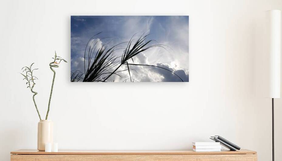 with the wind Reproduction