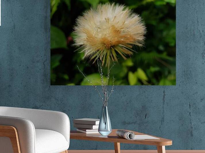 afro hairstyle Reproduction
