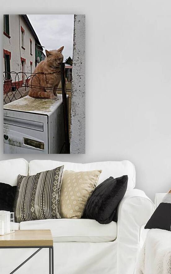 I m waiting for a letter by Carinou Art