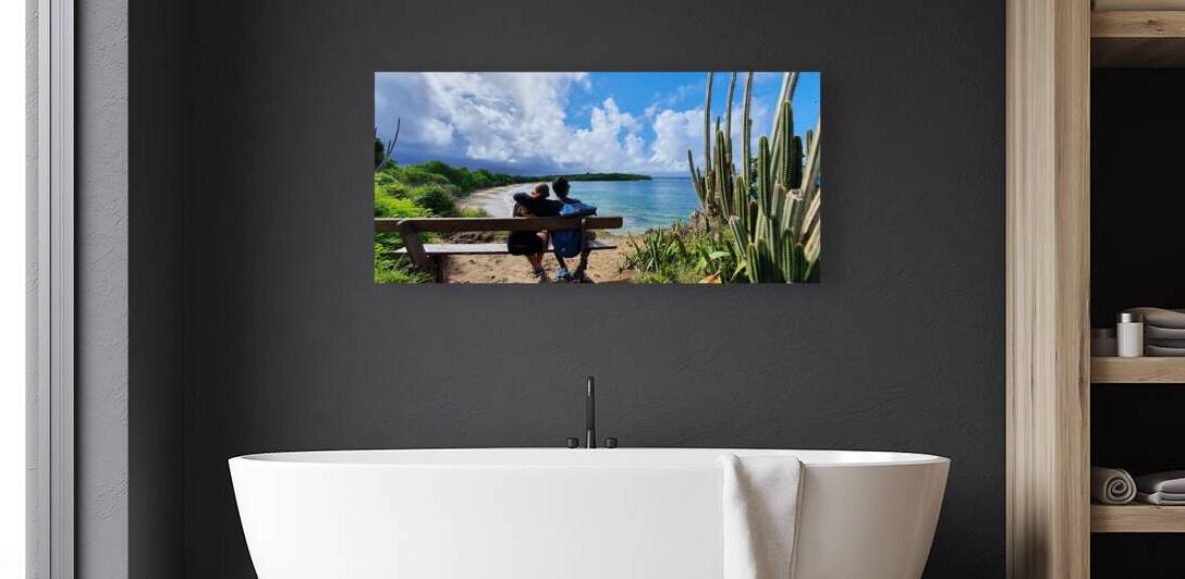 enjoy the view Reproduction