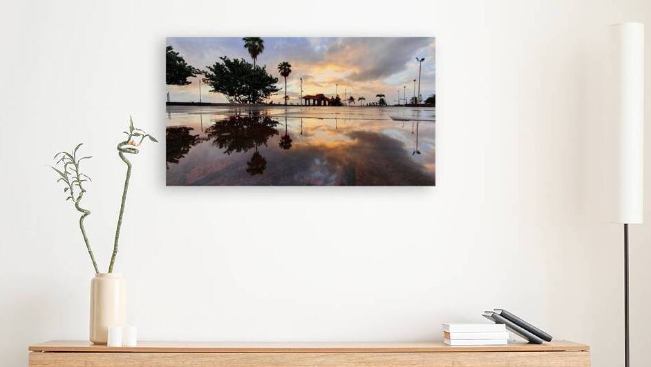 after the rain Reproduction