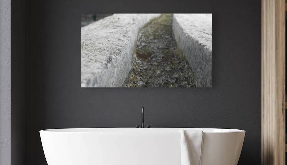 follow the path by Carinou Art