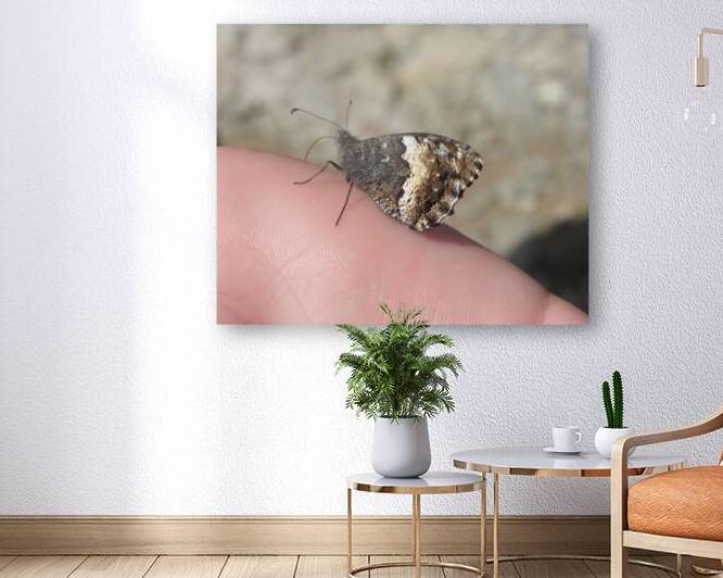 I land on your hand by Carinou Art