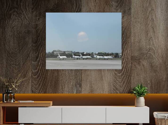 family private jet  Reproduction